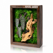 Signature Moss Wall Art | Wall & Desk Display | Branded Walnut Frame
