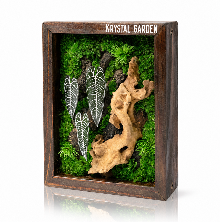 Signature Moss Wall Art | Wall & Desk Display | Branded Walnut Frame