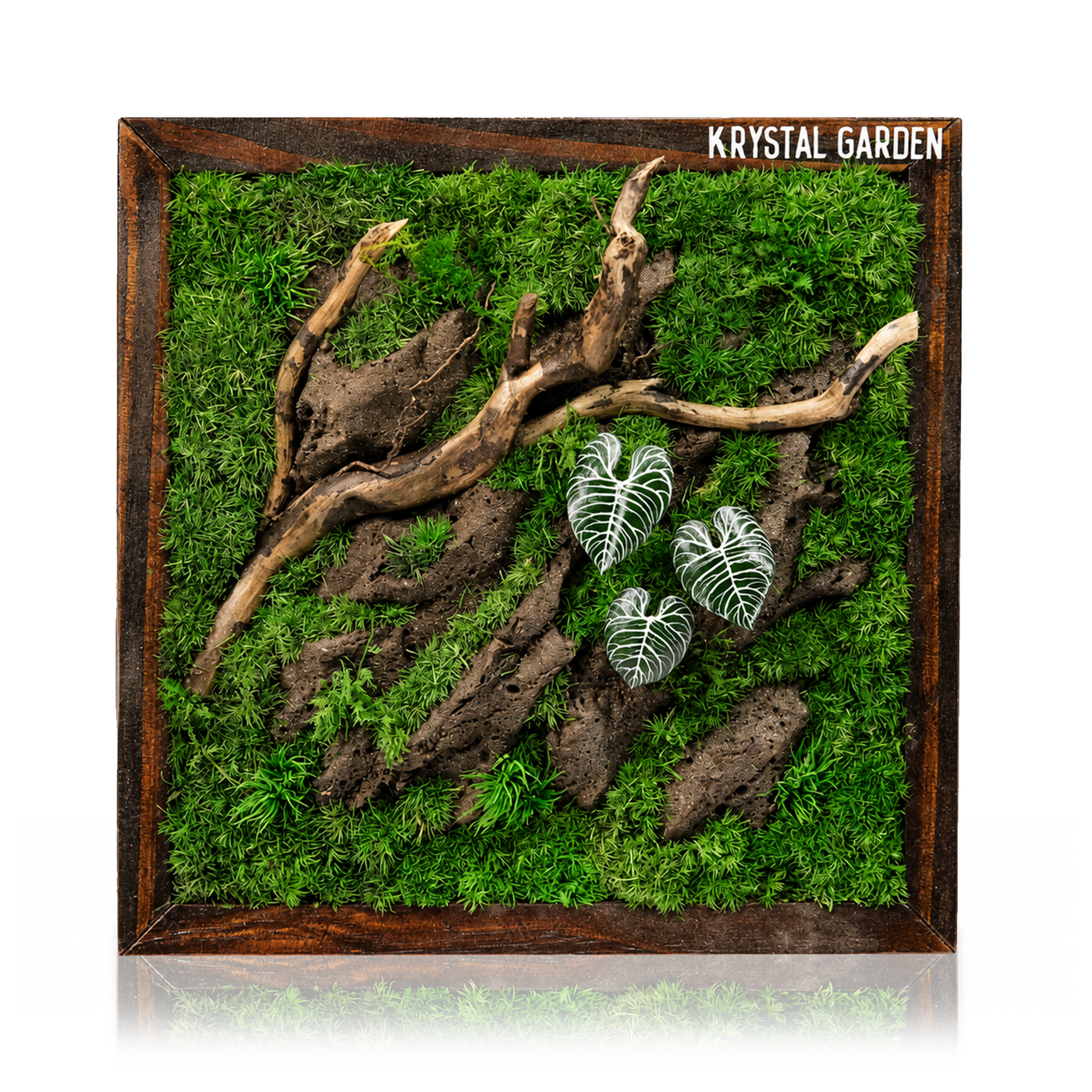 Silver Alocasia Moss Wall Art | Wall & Desk Display | Dark Wood Frame
