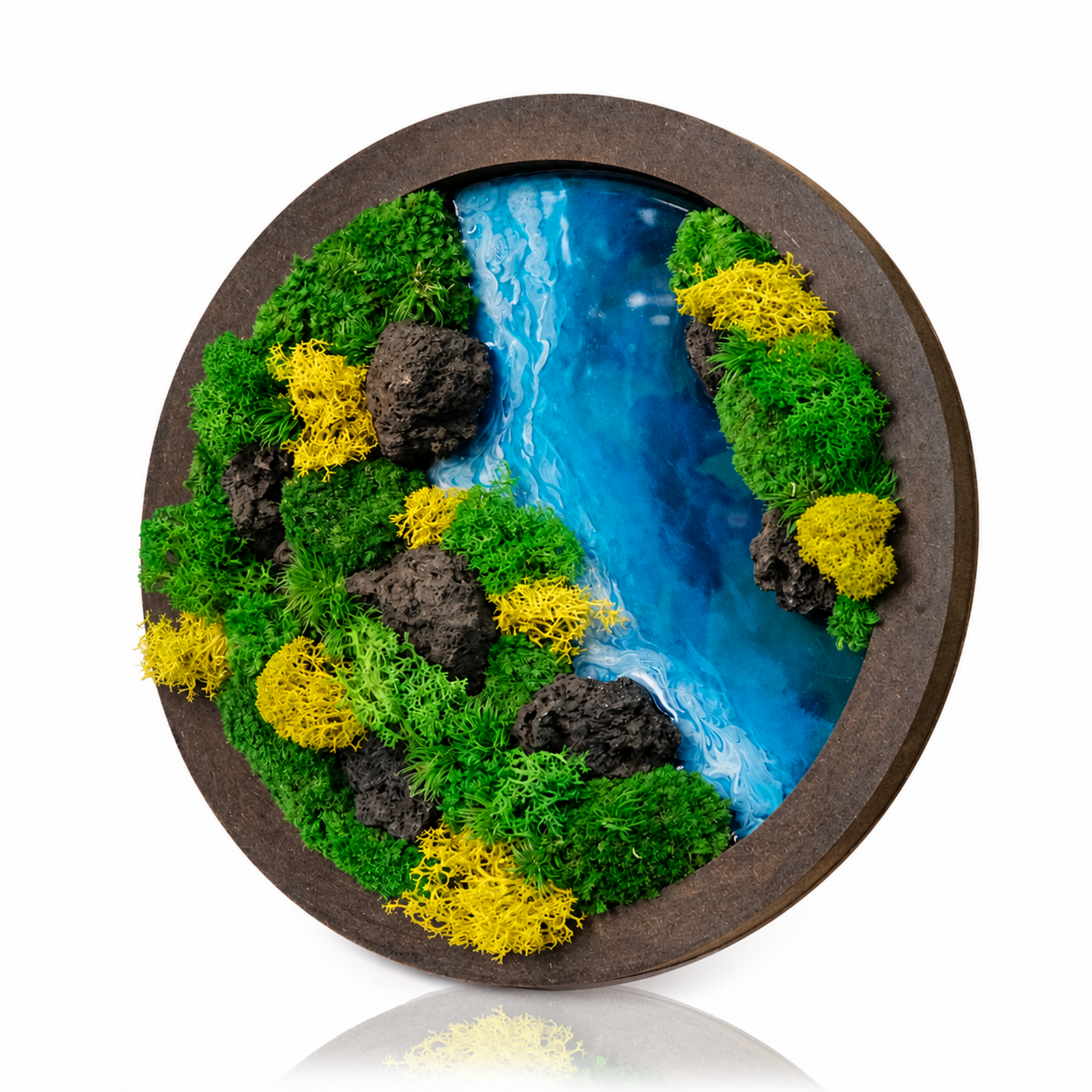Round Moss Wall Art | Wall & Desk Display | Walnut Wood Circle Frame