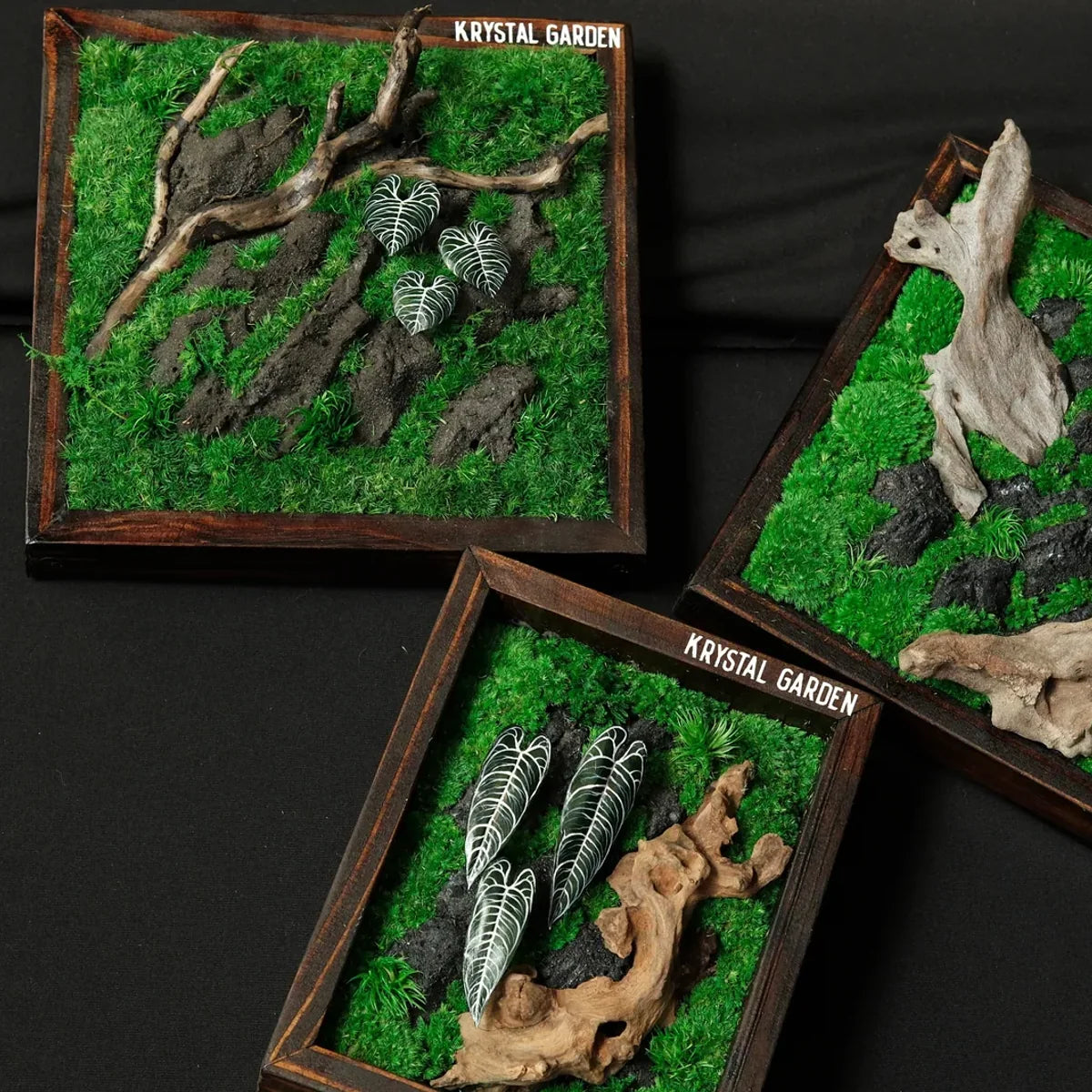 Living Moss Wall: Woodland Rift — Collector - image 1