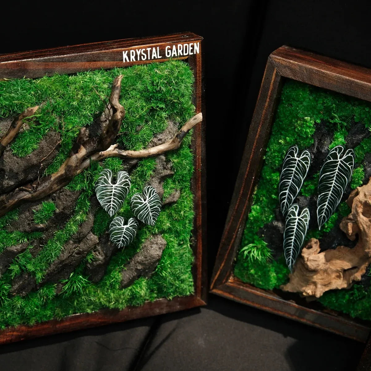 Living Moss Wall: Woodland Rift — Medium - image 1