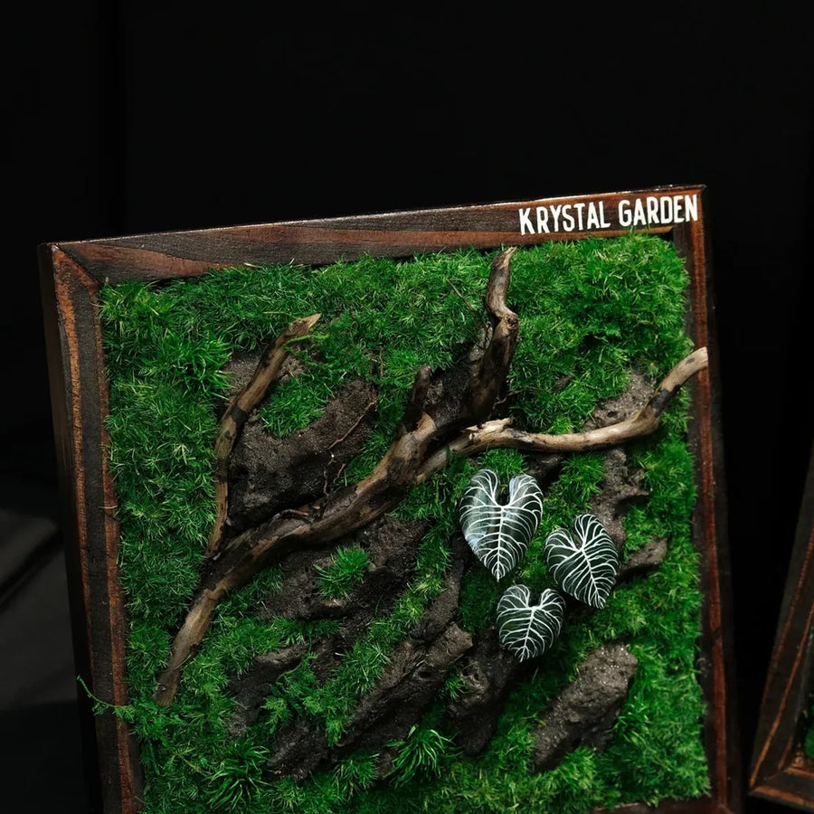 Living Moss Wall: Woodland Rift — Small - image 1