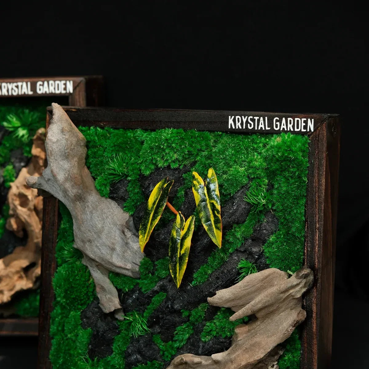 Tropical Moss Wall: Golden Canopy — Medium - image 1