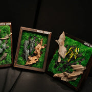 Living Moss Wall: Woodland Rift — Collector - image 2