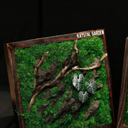 Living Moss Wall: Woodland Rift — Small - image 2