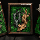 Alocasia Moss Wall: Silver Vein — Collector - image 1