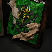 Tropical Moss Wall: Golden Canopy — Medium - image 2