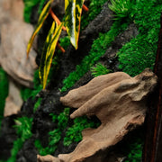 Living Moss Wall: Woodland Rift — Medium - image 2