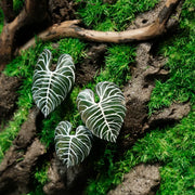 Living Moss Wall: Woodland Rift — Small - image 3