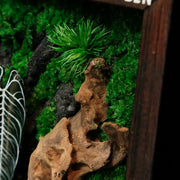Living Moss Wall: Woodland Rift — Small - image 4