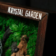 Living Moss Wall: Woodland Rift — Medium - image 3
