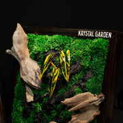 Tropical Moss Wall: Golden Canopy — Small - image 3