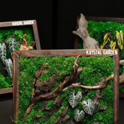 Living Moss Wall: Woodland Rift — Medium - image 4