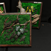 Living Moss Wall: Woodland Rift — Collector - image 3