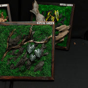 Living Moss Wall: Woodland Rift — Collector - image 4