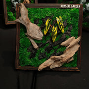Tropical Moss Wall: Golden Canopy — Collector - image 2