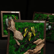 Tropical Moss Wall: Golden Canopy — Medium - image 4