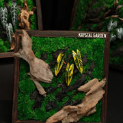 Tropical Moss Wall: Golden Canopy — Small - image 4