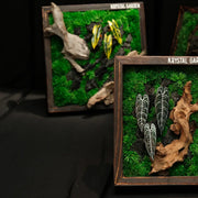 Tropical Moss Wall: Golden Canopy — Collector - image 3