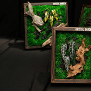 Tropical Moss Wall: Golden Canopy — Collector - image 4
