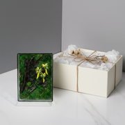 Gift Box Mockup – Jungle Terrarium