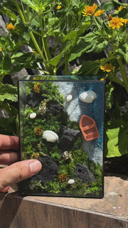 Coastal Moss Art | Desk Decor & Gift | Black Glass Frame