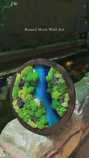 Round Moss Wall Art | Wall & Desk Display | Walnut Wood Circle Frame