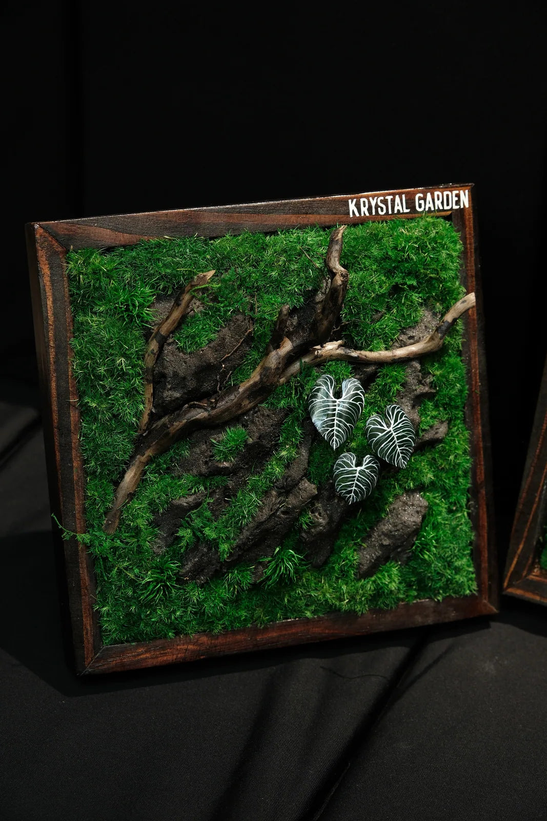 Preserved Moss Art